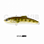 Раттлин Narval Frost "Candy Vib" (80 мм) #027-NS Minnow